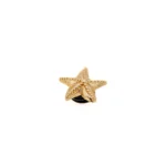 Pin Crocs Estrela