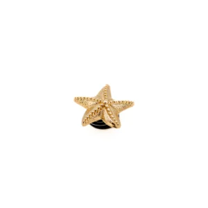 Pin Crocs Estrela