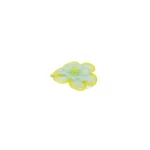 Pin Crocs Flor Verde